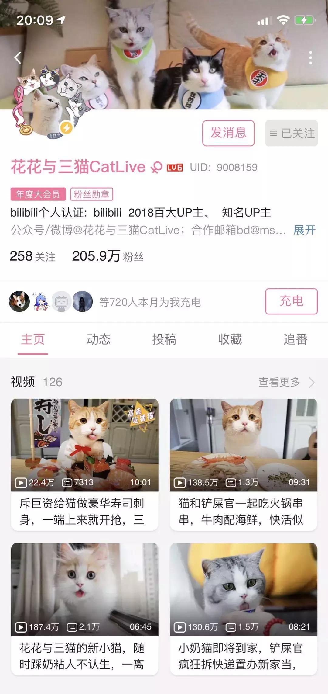 b站十周年新消息,b站哪个up主值得看