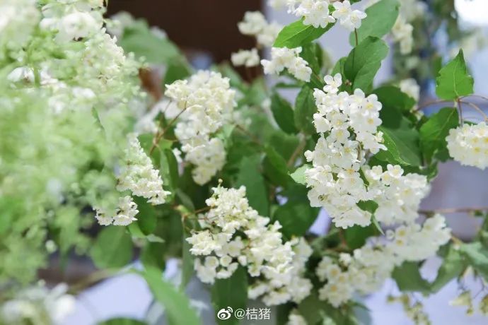 七夕仲夏夜｜星空晚宴×丹青情书×入梦山水……雾灵山居C位浪漫