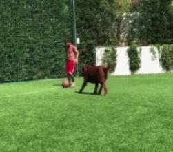 梅西豪宅全景视频,梅西豪宅别墅