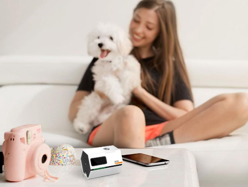 核酸检测技术新突破！10分钟宠物疫病现场检测