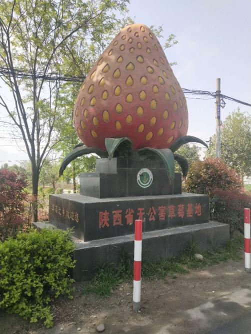 堪称样板！这家合作社有“独门秘笈”，还是有“高人指点”