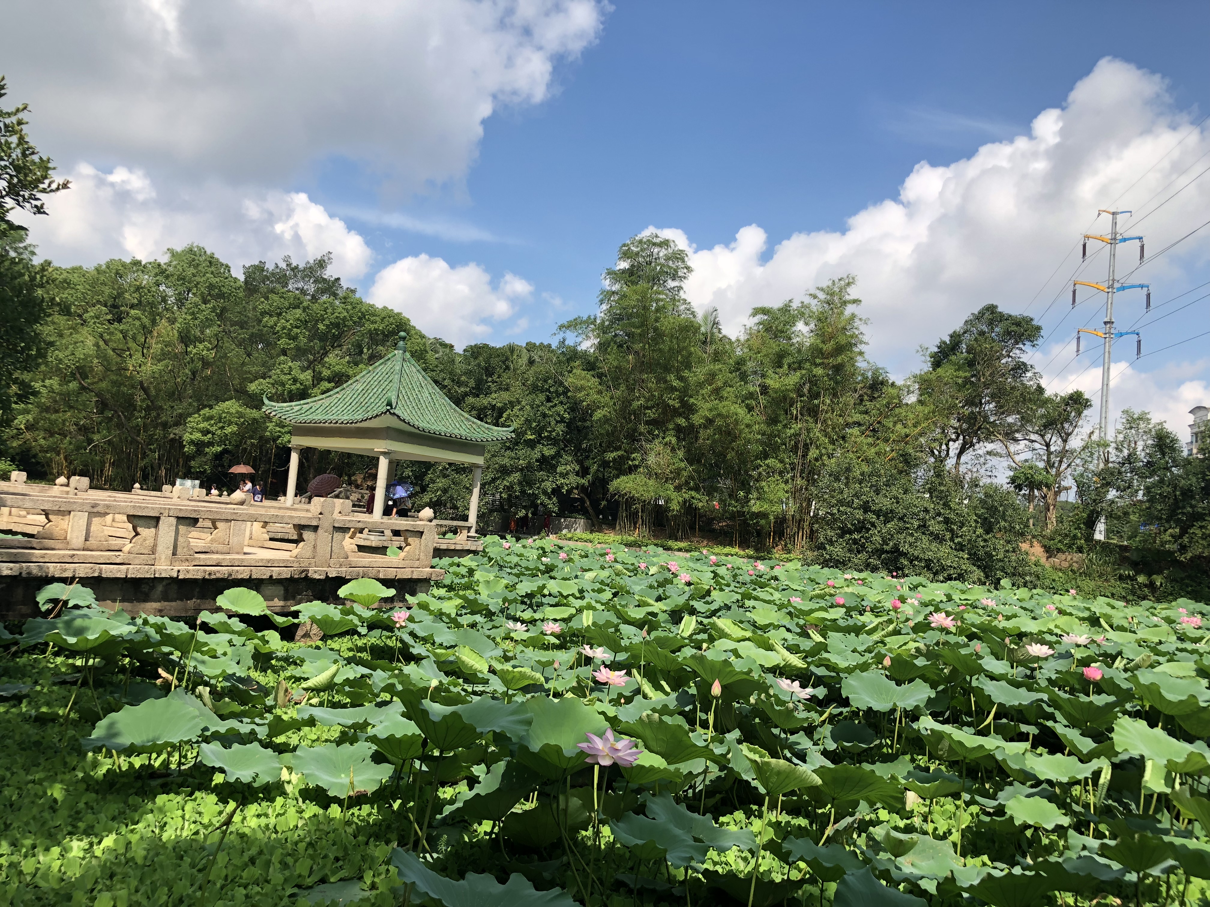 你眼中的珠海是什么样,外国眼中的珠海