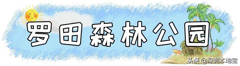 深圳免费的景点有哪些地方,深圳有哪些免费又好玩的地方景点