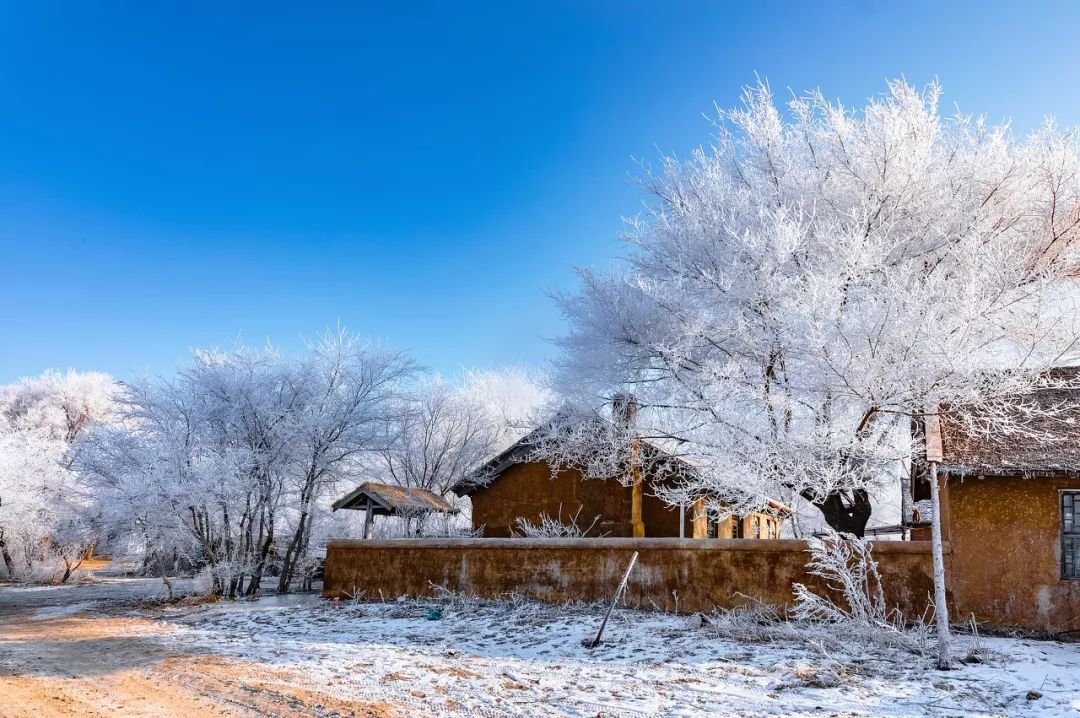 冬天去哪儿玩比较暖和,7-12月适合去哪儿玩儿