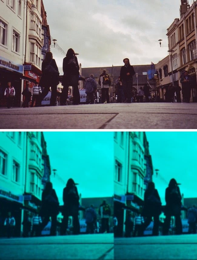 动物世界视力最好的动物,动物界中哪种动物视力最好