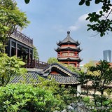 春节顺德自由行攻略,春节顺德游玩攻略