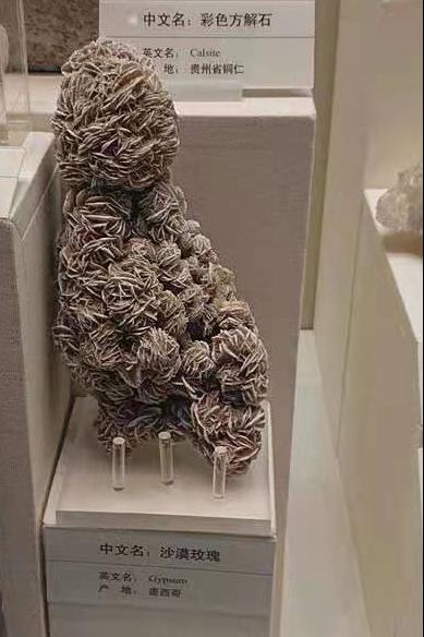 北疆博物馆历史,北疆博物馆最早建立的时间