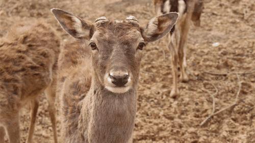 南京周边免费旅游景点推荐一日游,南京免费的旅游景点有哪些地方