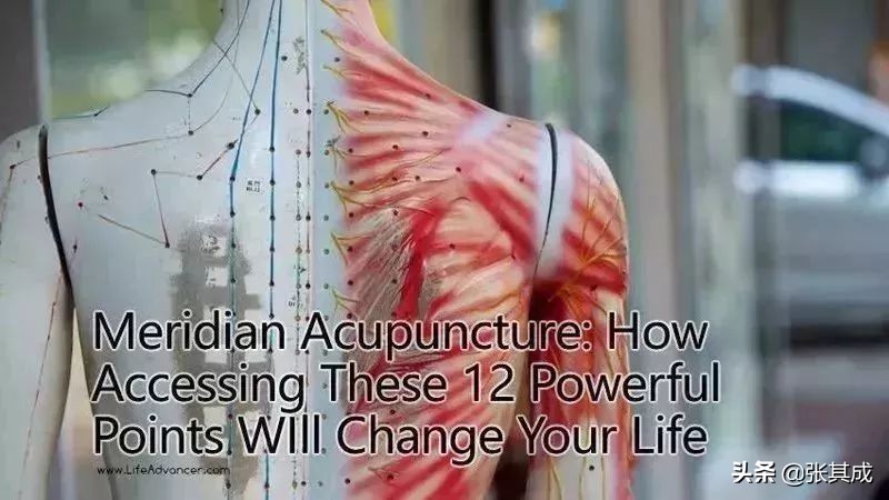 钱学森中医言论,钱学森谈中医现代化