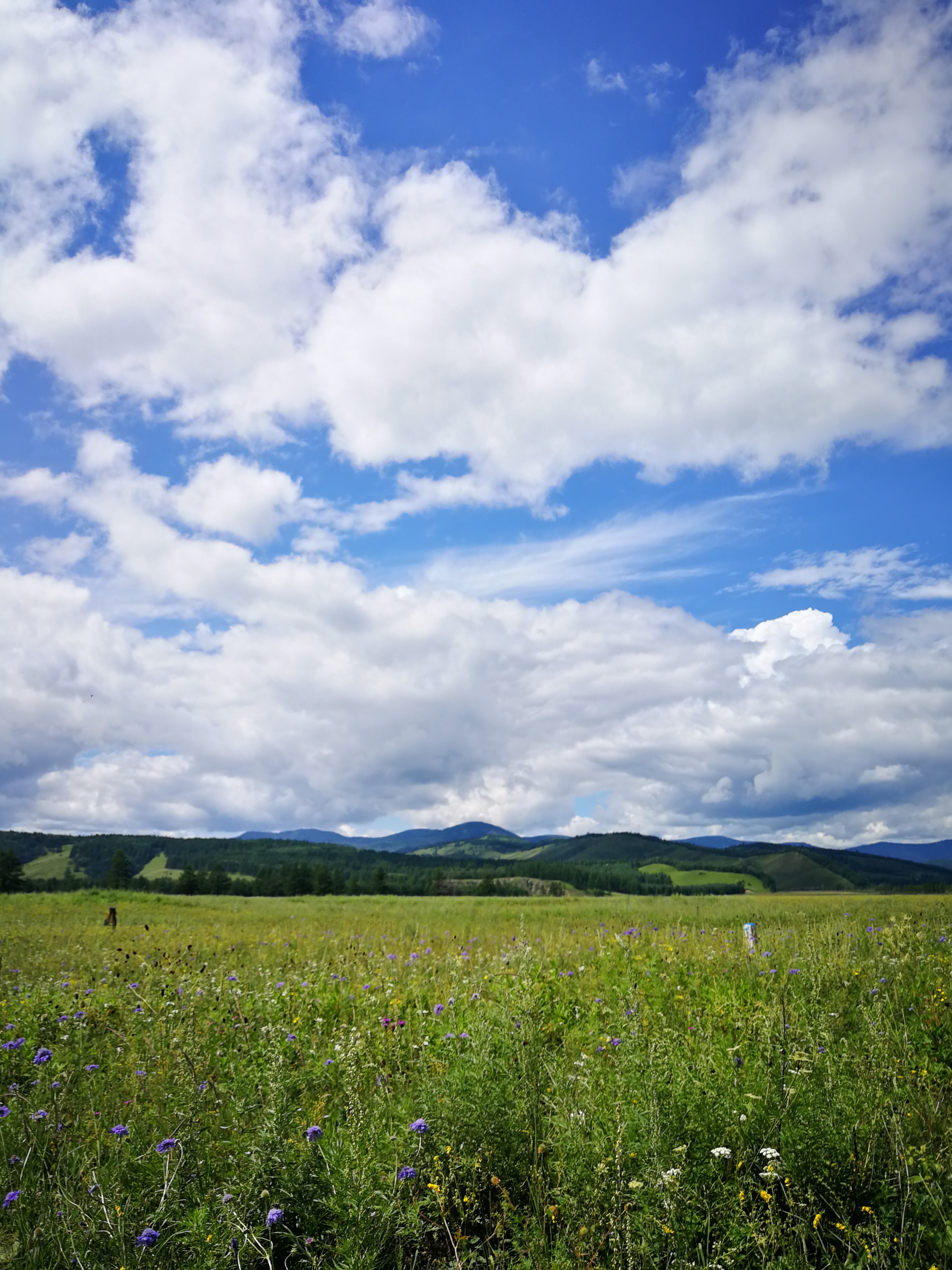 北京游阿尔山路线攻略,北京阿尔山旅游自由行攻略