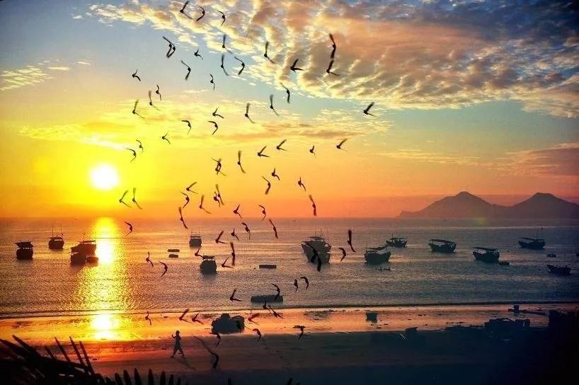 每一种生活都值得拥有作文,每一种生活都值得记录