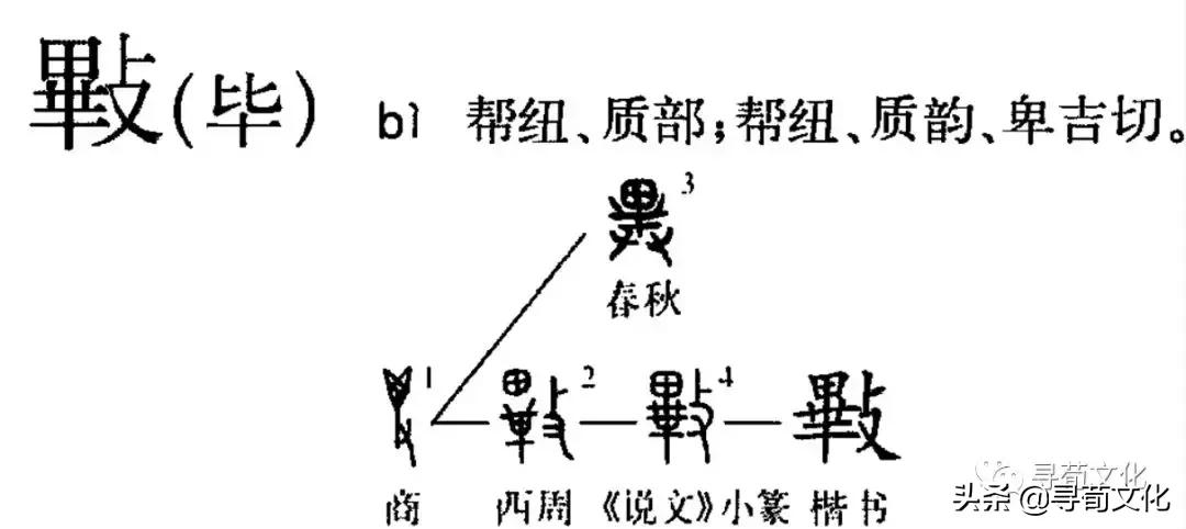 毕-汉字的艺术与中华姓氏文化荀卿庠整顿