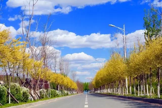 辽宁中医药大学杏林学院有独卫吗,辽宁中医药大学杏林学院属于3+2吗