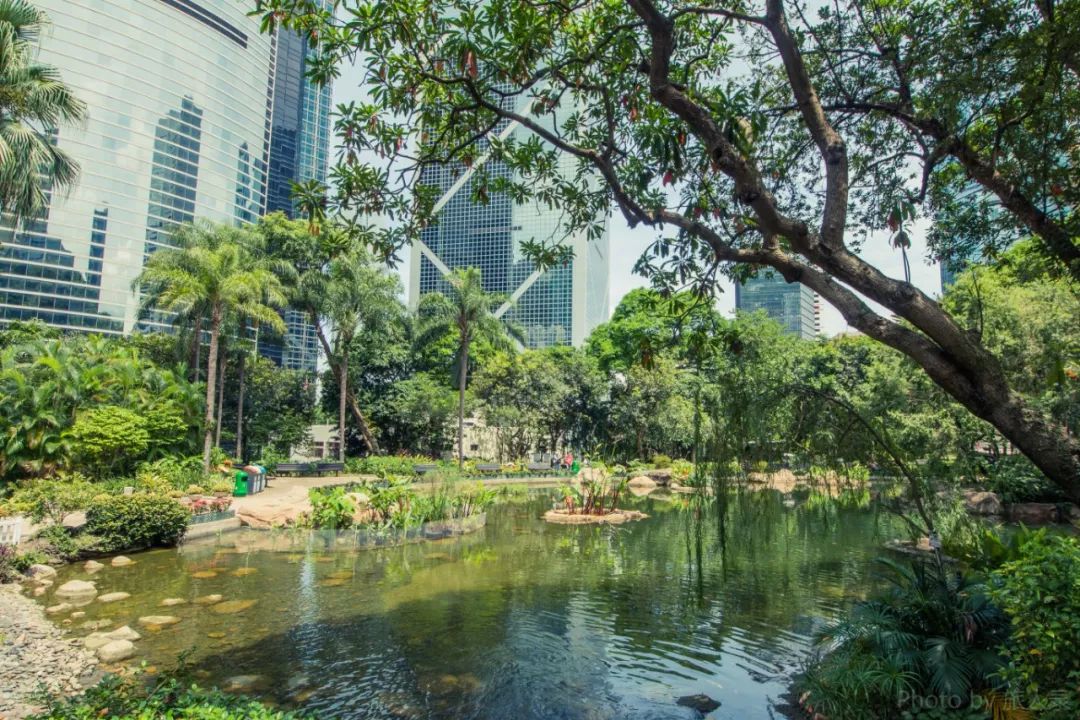 寸土寸金香港,寸土寸金的香港