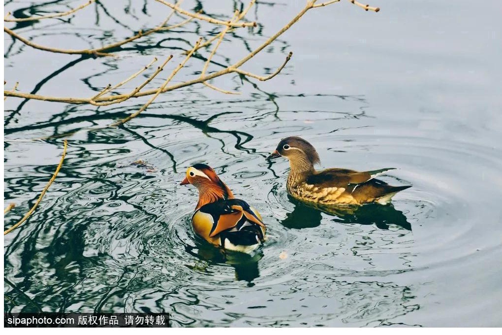北京西站附近有哪些旅游景点免费,北京西站旅游景点攻略