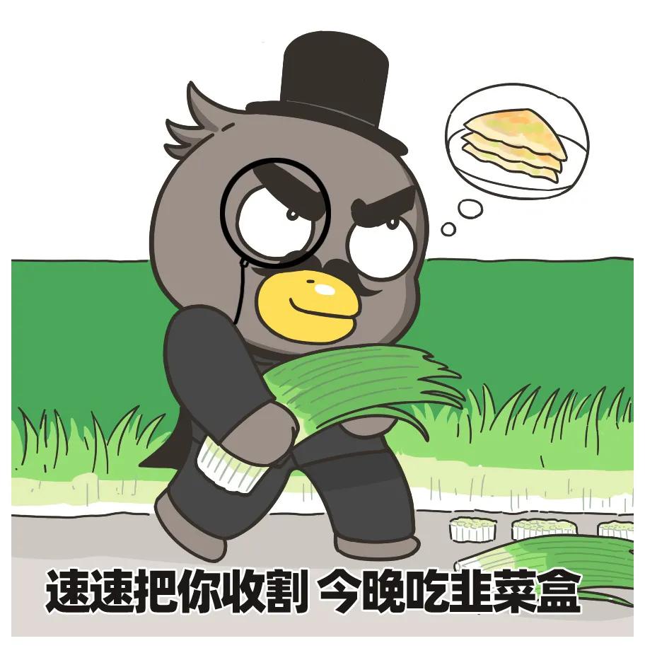 普洱茶可以配什么一起喝,你们配喝普洱茶吗