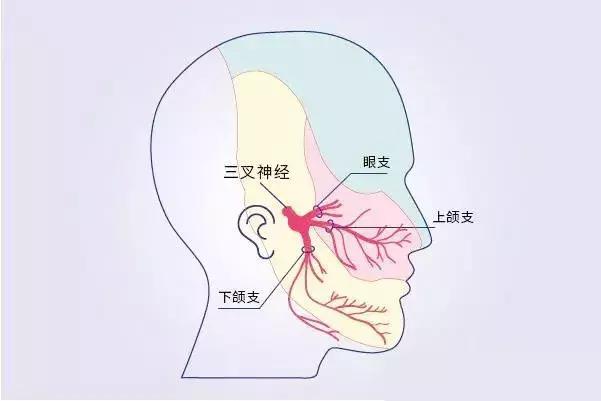 牙疼有可能是哪种疾病引起的,牙疼不是病疼起来很要命注意身体