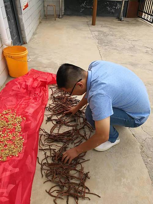 省委选调生铜川当第一书记，村民说他“想钱想疯了”