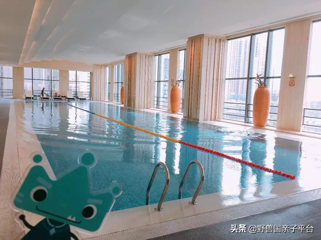 东莞哪里有学潜水的培训班,东莞潜水专业训练儿童