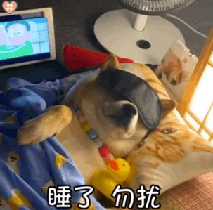 微信聊天表情包,微信聊天表情包怎么删掉