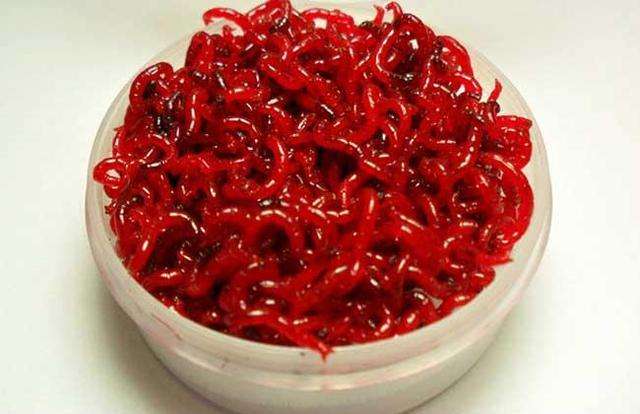 畜禽粪便废弃物处理新技术,红虫垃圾处理方法