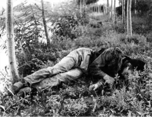 中国最厉害的枪械是什么枪,中国最厉害的重机枪是什么枪