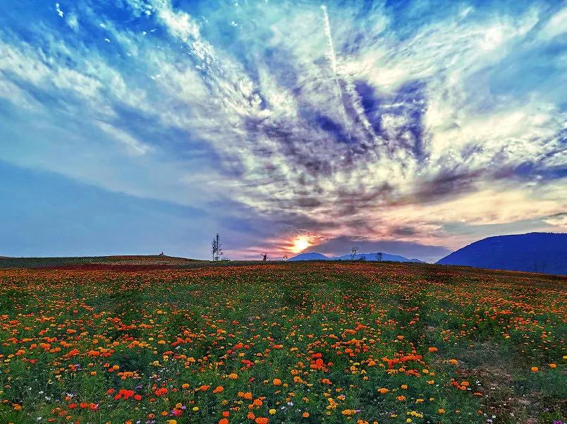 温泉旅游攻略秋已深,中秋旅游温泉一日游攻略