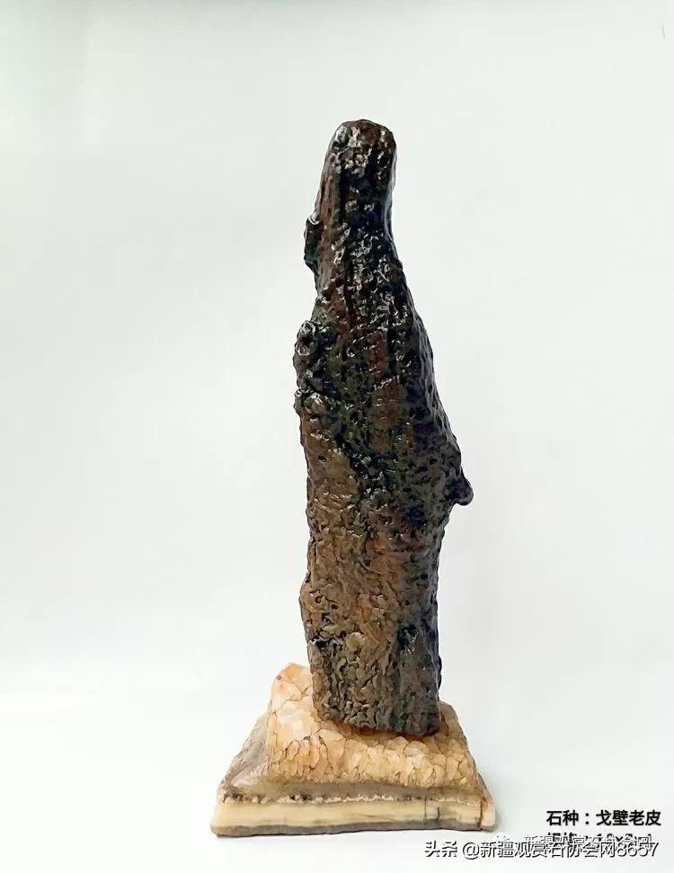 鎴堝鑰佺毊,鎴堝鑰佺毊鍜屾按鏅剁毊