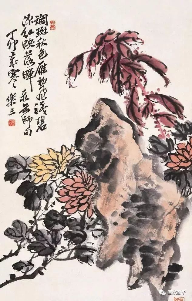 100种漂亮花卉图片,100张漂亮花图