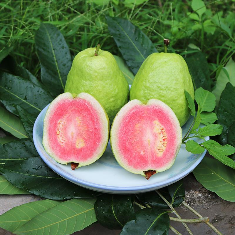 南方最有名特点美食,南方不为人知的特产美食