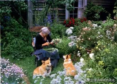 塔莎奶奶的花园纪录片英文版,塔莎奶奶的真实生活照