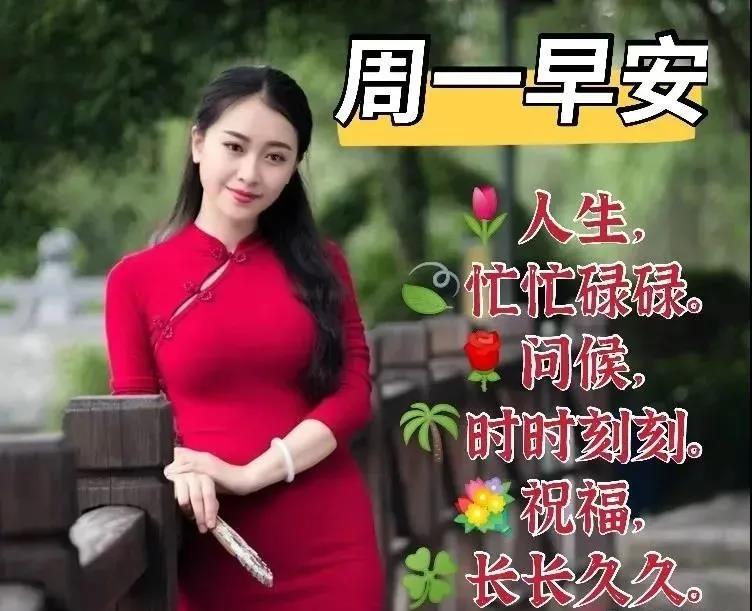 周一早安问候表情包,周末早上好表情包带字问候