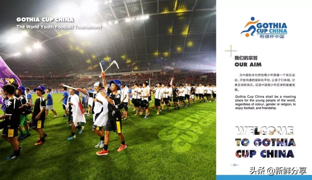哥德杯世界青少年足球赛,国际青少年足球大赛在哪里举办