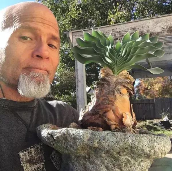 大叔养多肉20年，一片叶子上万块，盆盆都快成精了！