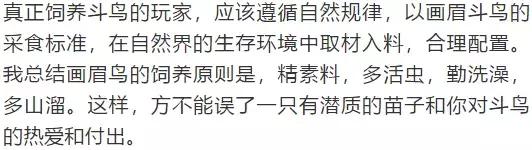 画眉饲料是贵的好还是便宜的好,真正的好画眉饲料是什么样子的