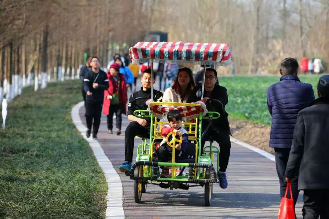 3月底天府绿道哪段最美,天府绿道介绍及特点