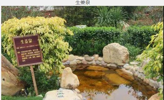 惠州怡情谷温泉住宿价格,惠州怡情谷温泉酒店包吃住