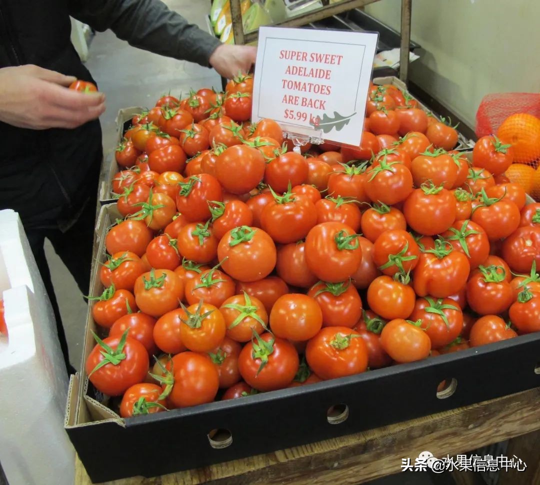 最近卖的比较火的水果店,最近新出来的水果店