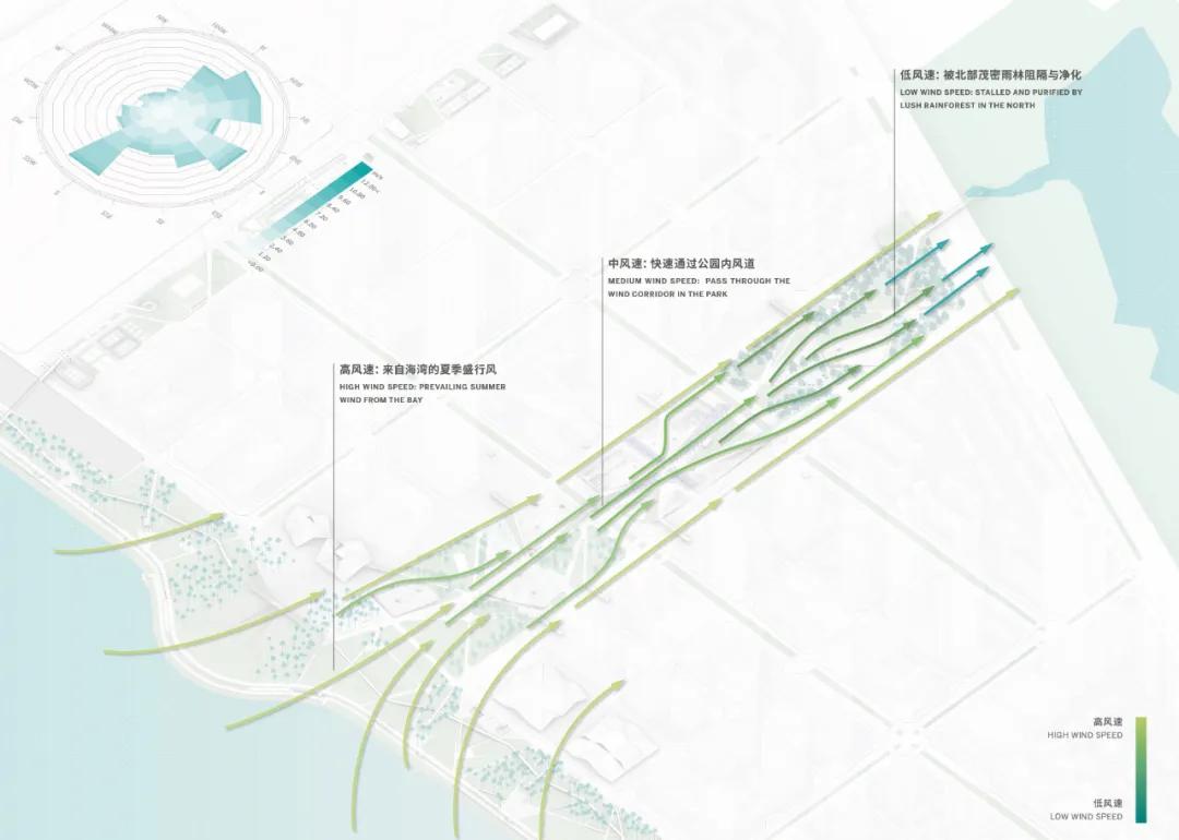 深圳湾超级总部基地绿化,深圳湾超级基地
