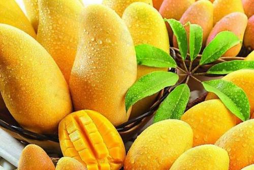 三种芒果最便宜,买芒果注意啥
