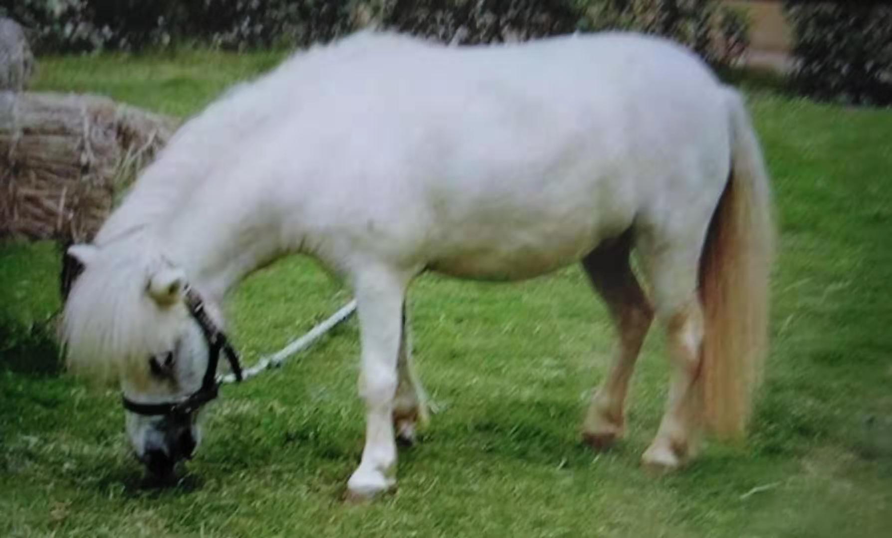 海南远古人类生活,海南古代黑历史