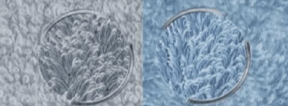 三个月不换毛巾能有多脏,三个月不换的毛巾样子