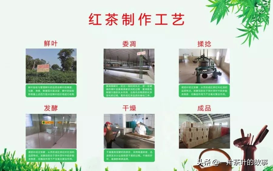 集美红茶阿萨姆红茶伯爵红茶区别,伯爵红茶阿萨姆红茶中国红茶区别