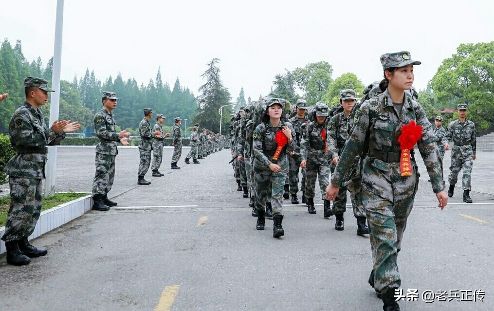 参军指南推荐,参军必备要点