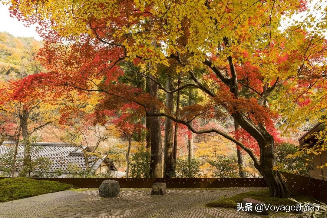 如果一生只能去一次北海道,如果一生只能去一次甘南