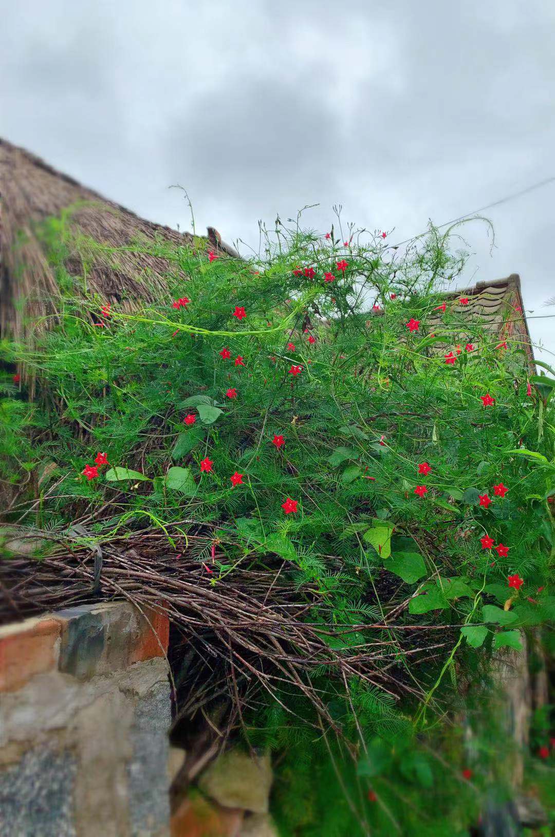 农村7岁小孩在做什么,7岁男孩回家玩什么