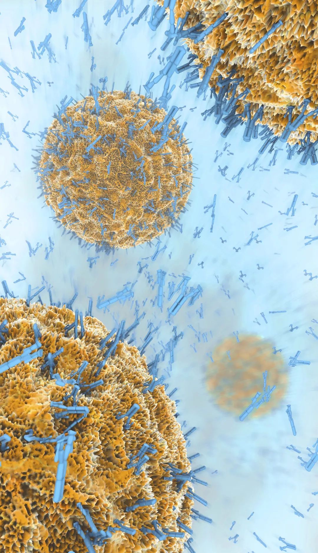 感染病毒后的168小时，你的体内都发生了什么？