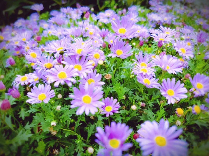 楗眬楂樻儏鍟嗙殑濂崇敓琛ㄧ幇,楂樻儏鍟嗙殑鍗佺琛ㄧ幇缁忓吀