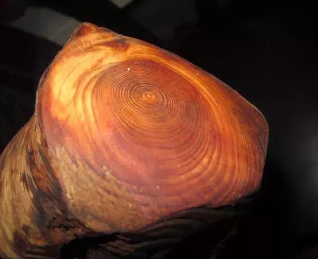 玩木头的乐趣,玩木头的18个基本知识