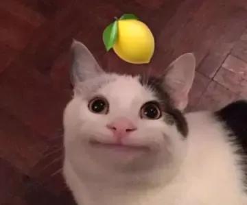 南韩“纯欲天花板”！16岁の新晋腿精！这个妹妹绝了